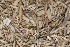biomass boilers Skinburness